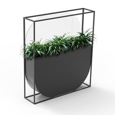 a black planter with plants in it on a white background, 3d rendering image