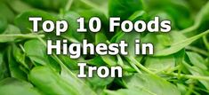 Foods high in iron include fortified cereals, beef, shellfish, dried fruit, beans, lentils, dark leafy greens, dark chocolate, quinoa, mushrooms, and squash seeds. Foods Highest In Iron, Iron Enriched Foods, Grill Garden, Chocolate Quinoa, Fortified Cereals, Foods With Iron, Squash Seeds, Foods High In Iron