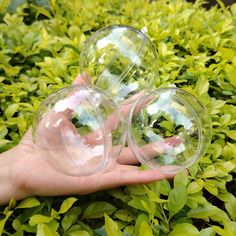 two clear glass balls sitting on top of green bushes in front of a person's hand