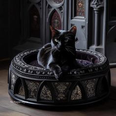 a black cat sitting on top of a round bed in the middle of a room