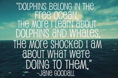 the ocean with a quote from jane goodall