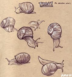 an image of some snails that are drawn on paper