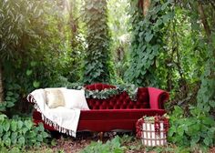 a red couch sitting in the middle of a forest filled with green plants and trees