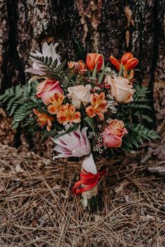 a bouquet of flowers sitting on the ground next to a tree