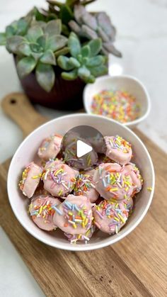 a white bowl filled with sprinkles next to a succulent plant