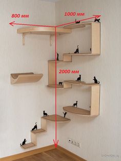 a room that has some shelves with cats on them