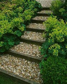 a set of steps made out of wood and gravel leading up to the top of some bushes