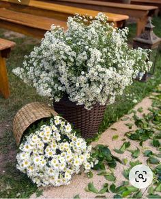 some white flowers are in a basket on the ground next to a picnic table and bench