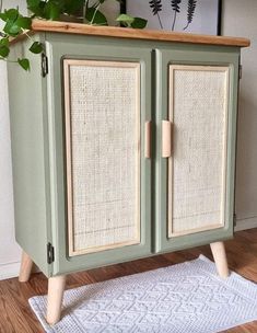 a green cabinet with two doors and some plants