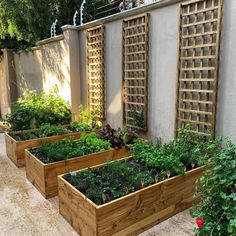 several wooden planters filled with plants next to a wall covered in trelliss