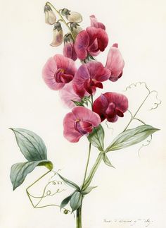 a painting of pink flowers with green leaves