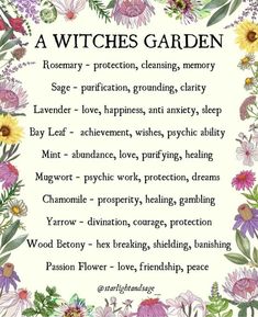 Crystals Spirituality, Witches Art, Folklore Mythology, Witches Garden, Gothic Love, Witchy Garden, Pagan Magic, Spiritual Nature, Witch Herbs