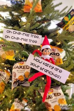 an elf is sitting on top of a christmas tree with signs that read, oh chip - mas trees, oh chip - mas trees, how has they are your branches?