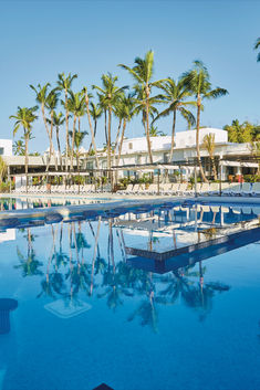 an empty swimming pool surrounded by palm trees