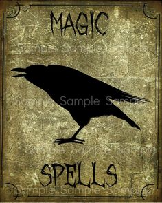 a black bird sitting on top of a sign that says, magic spells and spell