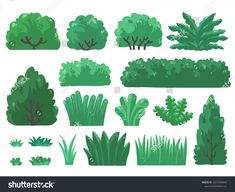 various types of trees and bushes on a white background stock photo - 959782