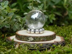 a glass ball sitting on top of a piece of wood in front of some plants