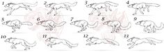 how to draw wolfs step by step