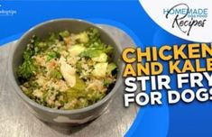 a bowl filled with chicken and kale stir fry for dogs