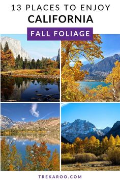 13 Places to See California Fall Color California Getaways, California With Kids, Fall Scenery, Mountain Roads, Travel California, Colors Of Autumn