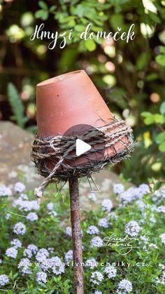 a bird nest sitting on top of a wooden stick in the grass next to blue flowers