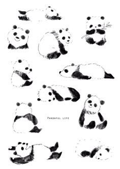 the pandas are all different sizes and colors