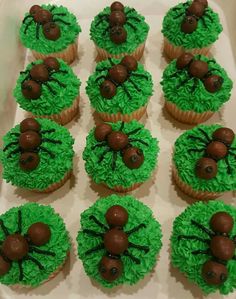 twelve cupcakes with green frosting and chocolate decorations on them in a box