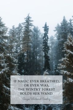 trees in the snow with a quote on it that says, if magic ever breathing, or every was, the vinyl forest holds her wand