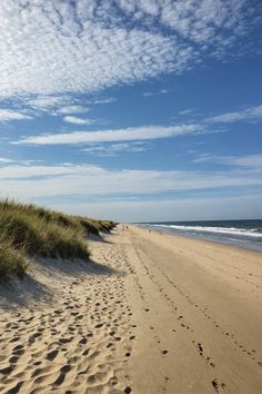 Delaware Beaches: Your Ultimate Coastal Escape Coastal Vacation, Delaware Beaches, Beach Towns, Beach Activities, Beach Town, Delaware, Outdoor Adventures, Small Towns, The Locals