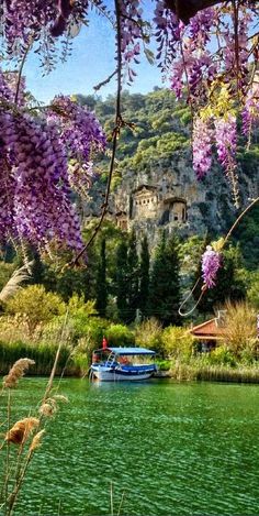 a boat floating on top of a lake next to a forest filled with purple flowers