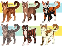 the different types of cats are shown in this drawing style, and each cat has its own name on it's chest