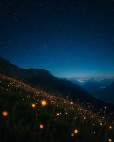 the night sky is full of stars and lights as well as grass on top of a hill