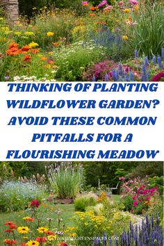 the words thinking of planting wildflower garden? avoid these common pittails for a flourishing meadow