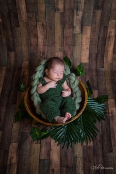 a newborn baby is curled up in a basket surrounded by greenery and pine cones