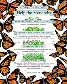 a poster with butterflies on it and the words help the monarchs written in different languages