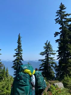 two people with backpacks are hiking up a hill in the woods and looking at the mountains