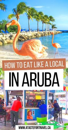 How to Eat Like a Local in Aruba Shopping In Aruba, Aruba Shopping, Abc Islands, Aruba Island