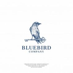 Logo Design Ideas Bird Branding, Blue Bird Logo, Bird Logo Inspiration, Blue Branding, Logo Bird, Birds Logo, Bird Logo Design, Logo Animal, Logo Unique