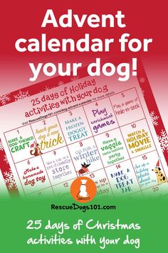 dog advent calendar 25 Days Of Christmas Activities, Dog Themed Crafts, Dog Advent Calendar, Advent Calendar Ideas, Advent Calendar Activities, Paw Print Ornament, Puppy Paw Prints, Holiday Stories, Dog Stocking