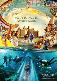 an advertisement for the atlantic aquarium with people swimming in it and dolphins on the water