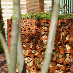 an outdoor garden with lots of holes in the wall and plants growing out of them