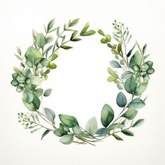 a watercolor painting of green leaves and branches in a circle on a white background