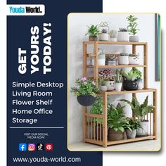 an advertisement for a flower shop with potted plants on shelves and the words get yours today