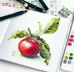 an apple is sitting on top of a book with watercolors next to it