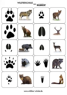 an animal's footprints are shown in black and white, with the words wildlife on it