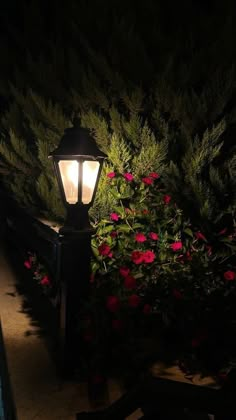 a street light sitting next to some flowers