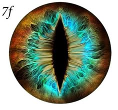 an image of the eye with blue and green irises on it's iris