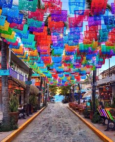 many colorful umbrellas hanging from the ceiling above a street lined with benches and palm trees