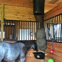 a horse standing inside of a stable next to a bird feeder