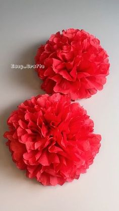 two large red flowers sitting on top of a table